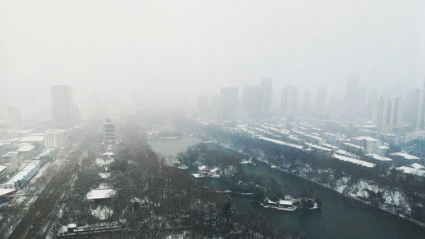 �����벩������ѯ�������޹�˾���Ϸʷ��빫˾